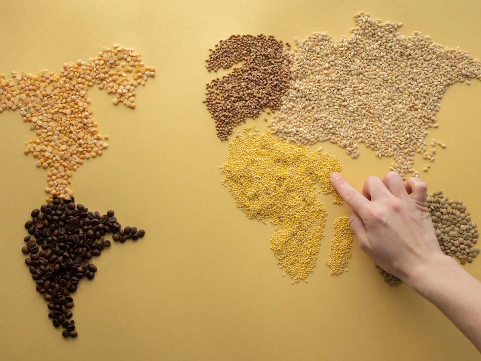 World's cuisines